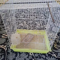 قفس|لوازم جانبی حیوانات|فولادشهر, C8|دیوار