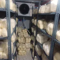 استخدام همکار در کارگاه تولید کره محلی