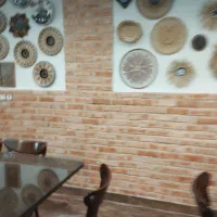 کارگر ساده آقا و خانم