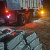 ذرت علوفه ای وخوراک دام|عمدهفروشی|دشتابی, |دیوار