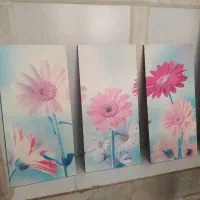 چند عدد قاب عکس