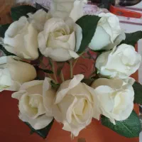 ده شاخه گل با گلدان بدون ایراد با قیمت پایین