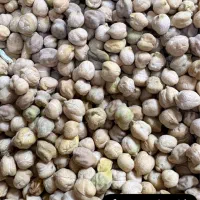 نخود گرد درجه1 لیزری