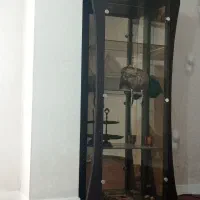 ویترین درحد نو