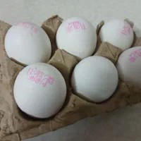 نظر گیری  با تخمرغ