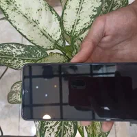 فروش گروشی نوت 13 256