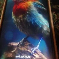 فروش فوری سامسونگ