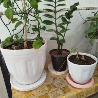 وسایل منزل|حراج|همدان, |دیوار