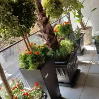 خدمات باغبانی باغچه کاری تعویض خاک گلدون کاشت گل .