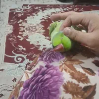 طوطی ملنگو