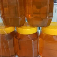 عسل طبیعی و ارگانیک