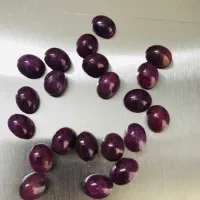 مجموعه بسیار زیبا گوهر سنگهای قیمتی ونیمه قیمتی|جواهرات|پرند, فاز ۱|دیوار