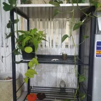 استند گل سالم زیبا قابل استفاده برا گلدون و غیره.