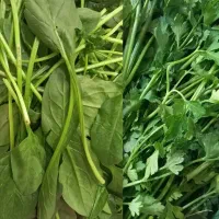 سبزی خردکنی، آبغوره گیری، آبلیموگیری|فروشگاه و مغازه|بابلسر, |دیوار