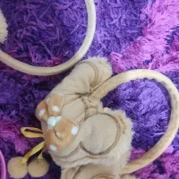 سه عددگوشبندنو