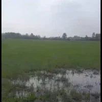 زمین کشاورزی 3.5 هکتاری سنددار حاصلخیز