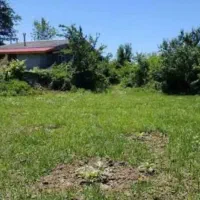 زمین تجاری و مسکونی