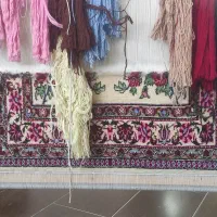 دار قالی با فرش بافته|فرش|اسلام‌‌آباد غرب, |دیوار