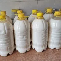 دوغ تلمی