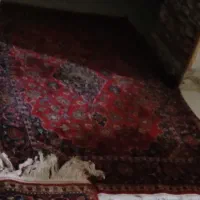 وسایل منزل|فرش|اردکان, |دیوار