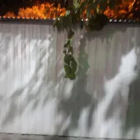 کانکس فروشی گلفروشی یا دیگرمشاغل|فروشگاه و مغازه|ری, شهید غیوری (ابن باویه)|دیوار