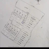 زمین-مشاهیر