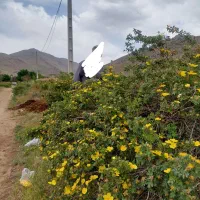 زمین باغ انگور|فروش دفتر صنعتی، کشاورزی، تجاری|بهار, |دیوار