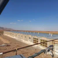 اجاره مرغداری پرورش پولت