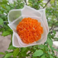 کادو روز دختر