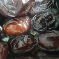 رطب صادرات تازه|خوردنی و آشامیدنی|تهران, آهنگ|دیوار