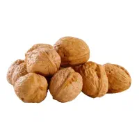 فروش انواع نهال ، سیب وگیلاس، گردووغیره قیمت مناسب|خدمات باغبانی و درختکاری|بوکان, |دیوار