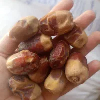 فروش ب صورت عمده کیلویی 100