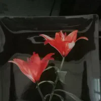 ۳ دست پیشدستی شیشه ای طرحدار