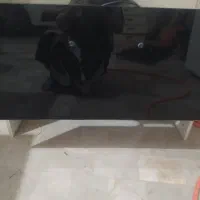 هود در حدنو