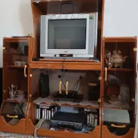 تلویزیون