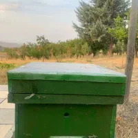 کندو زنبور عسل و کندوی تکثیر