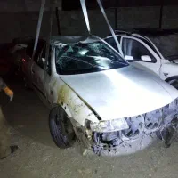 سمند تصادفی