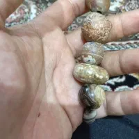 مهره کهنه زیرخاکی