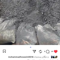 خاک ذغال|گل و گیاه طبیعی|مینودشت, |دیوار