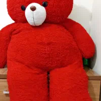 خرس|اسباببازی بچه|کرج, ساسانی (قلمستان)|دیوار