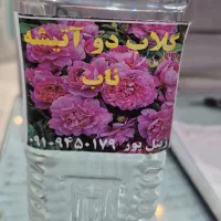 گلاب ناب دوآتیشه