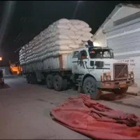 کاه نرم و تازه