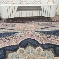 تلویزیون|تلویزیون و پروژکتور|ایذه, |دیوار