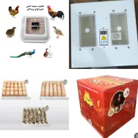 دستگاه جوجه کشی برقی