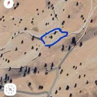 زمین کشاورزی دیمی قجر شانکبود مناسب باغ