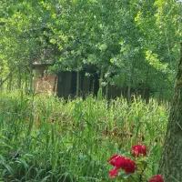 واگذاری ویلا با لاین های قایق سواری|فروش خانه و ویلا|نظرآباد, احمد آباد|دیوار