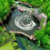 نیروی کار فنی ماهر