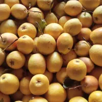 قیمت توافقی