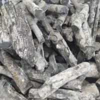 زغال پسته اعلا