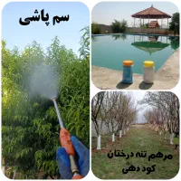 باغبانی آبیاری قطره‌ای کاشت سم پاشی هرس فضای سبز|خدمات باغبانی و درختکاری|شیراز, شهرک گلستان|دیوار